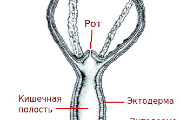 Kraken зеркало даркнет