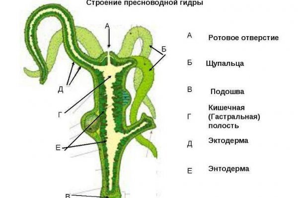 Кракен оф сайт kr2web in